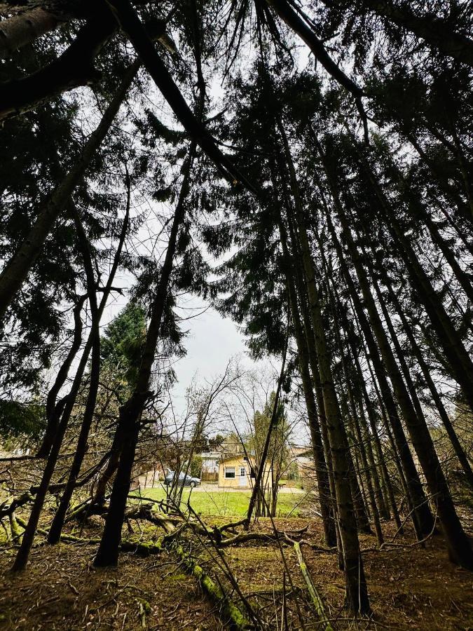 Ferienhaus Biber Godendorf  Esterno foto