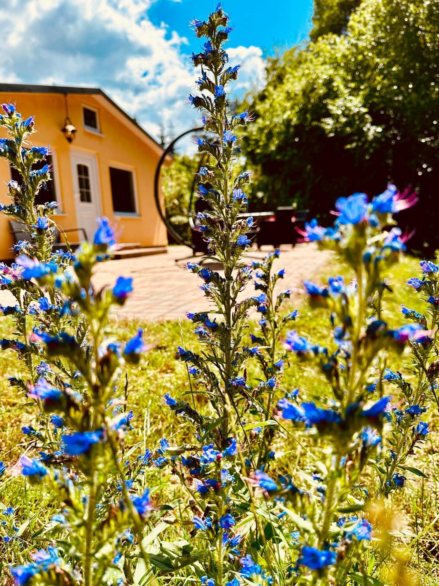 Ferienhaus Biber Godendorf  Esterno foto